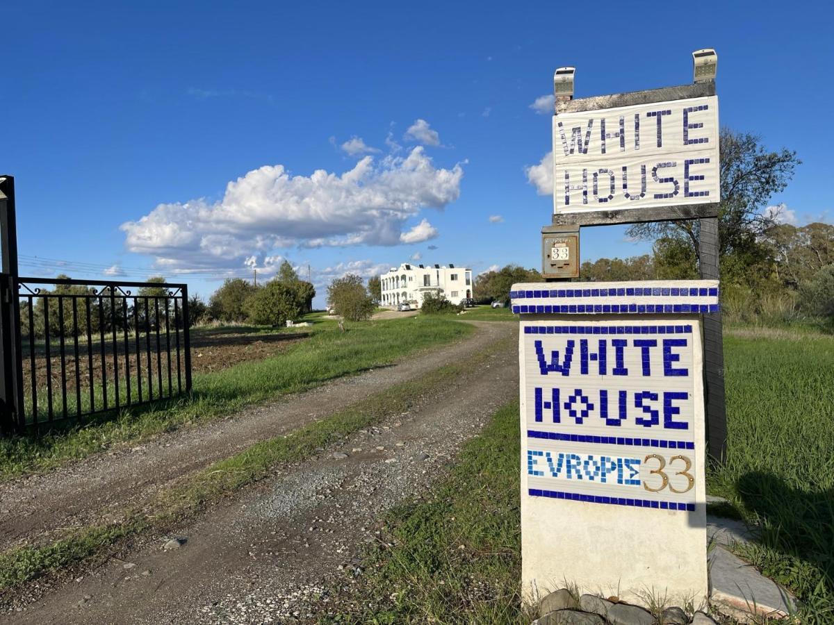 White House Studio With Sea View And Parking Polis Dış mekan fotoğraf